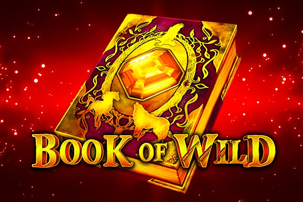 Book of Wild slot Book of Wild slot